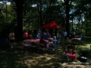 IMG_20150628_140236 (Large)